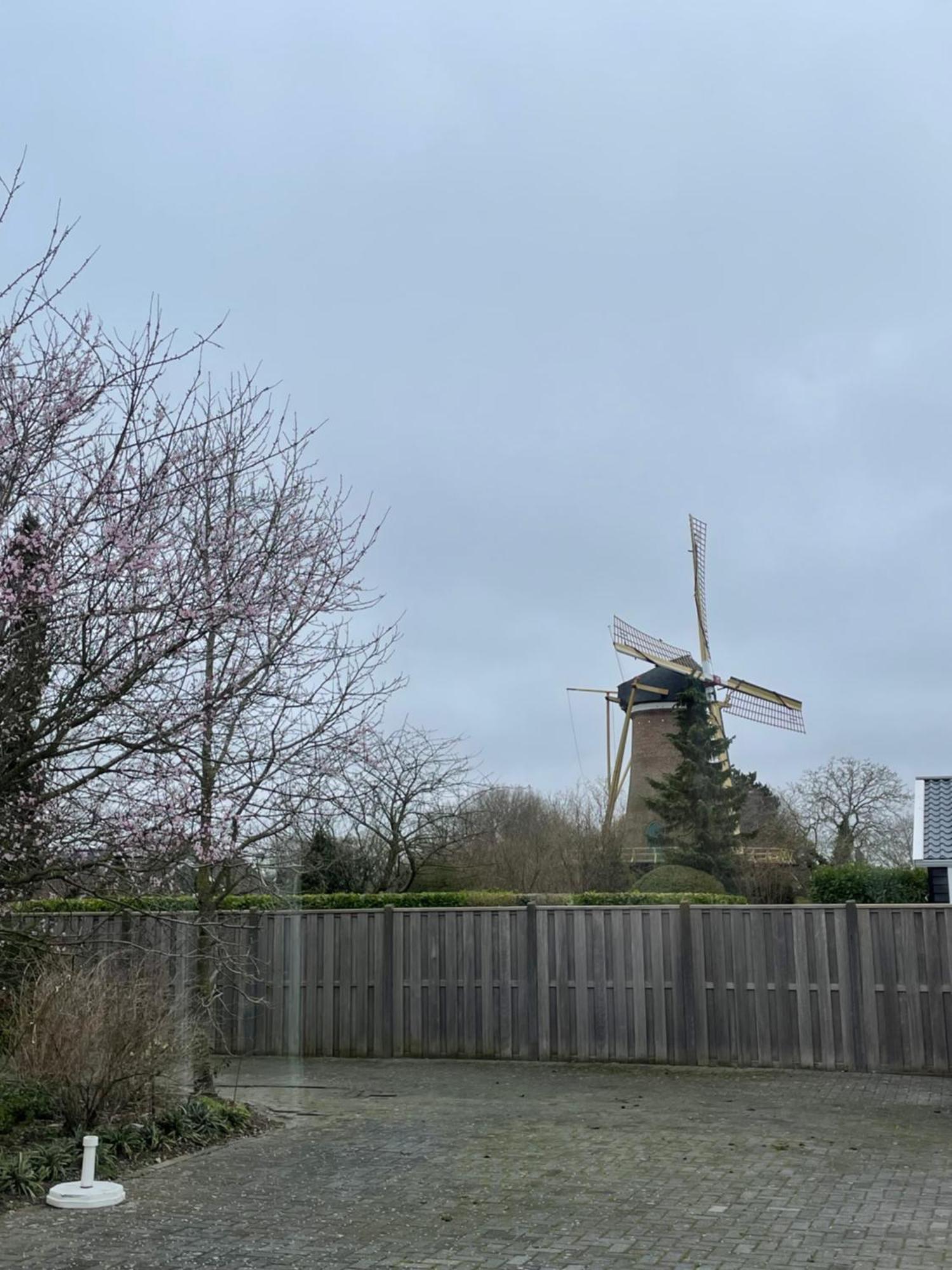 Gastenverblijf Bij De Buuren Dirksland Экстерьер фото