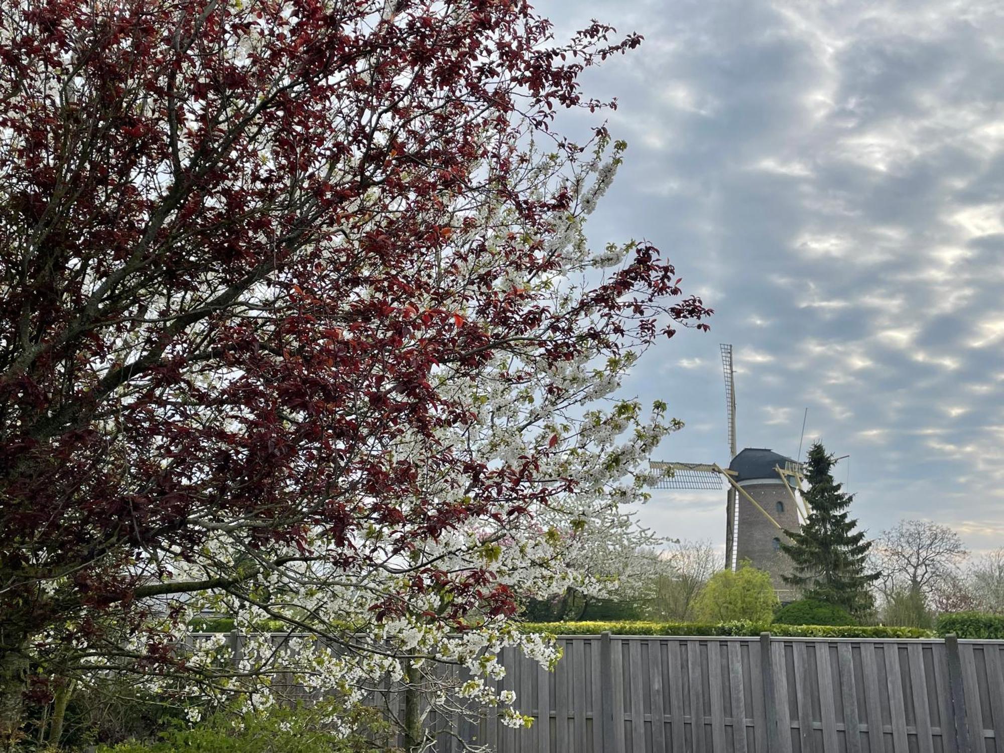 Gastenverblijf Bij De Buuren Dirksland Экстерьер фото